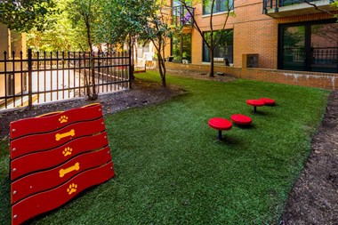 443 New York Ave NW Studio-2 Beds Apartment for Rent - Photo Gallery 5