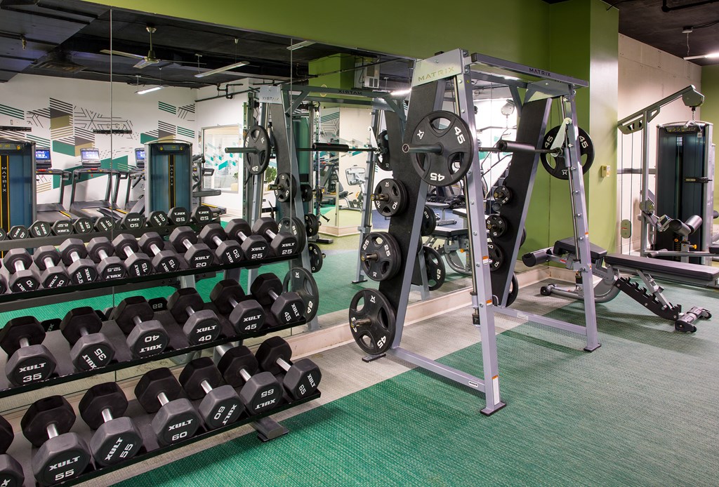Free Weights at Cascade at Landmark, Virginia, 22304