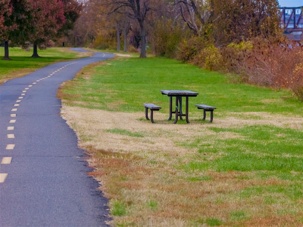 Exterior Landscape at The Paramount, Arlington, VA