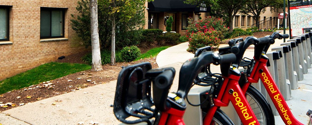 Bike Stand at Park Adams Apartments, Virginia, 22201