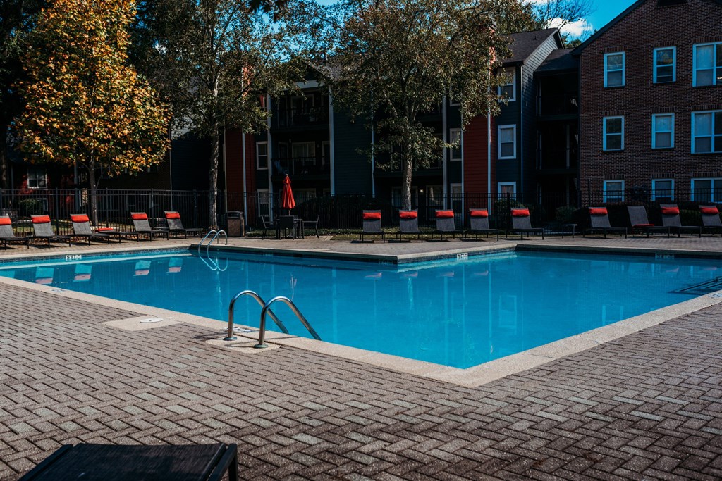 Elme Druid Hills Pool  at Elme Druid Hills, Atlanta, GA