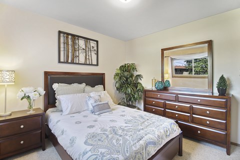 A bedroom with a bed, dresser, and mirror.