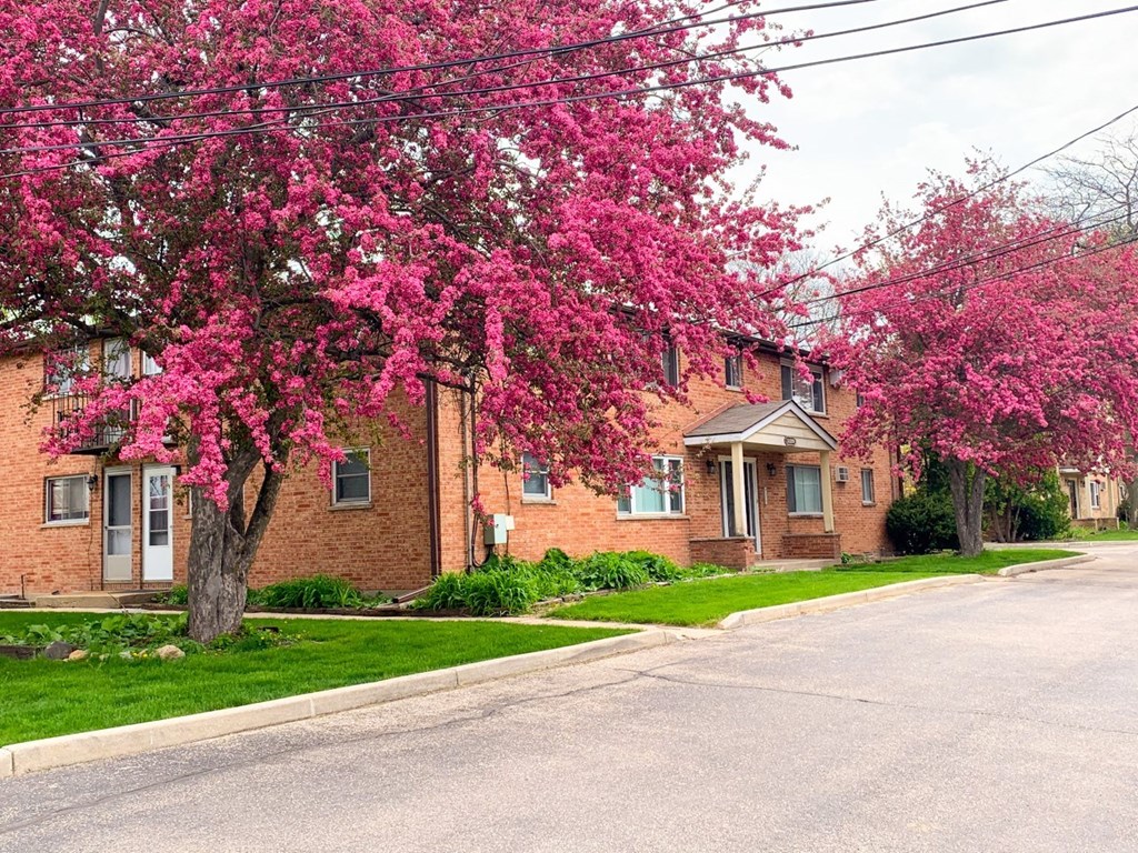 a red brick house with pink flowering trees in front of it