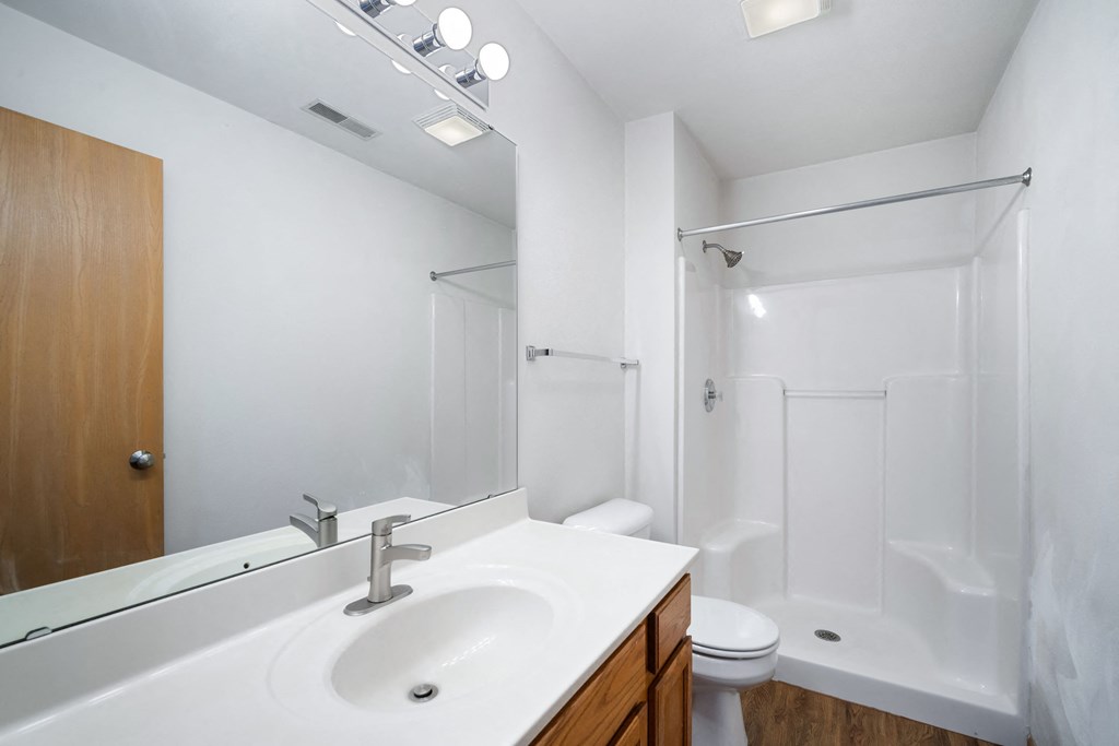 a bathroom with a sink and a shower and a toilet