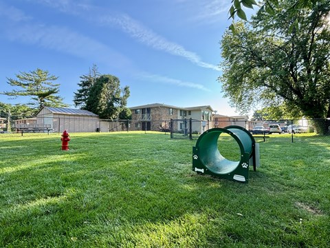 A playground with a green slide and a red fire hydrant in a grassy area.