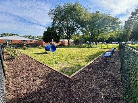 A park with a blue exercise ball in the middle of a grassy area.