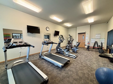 A gym with treadmills, exercise bikes, and other equipment.