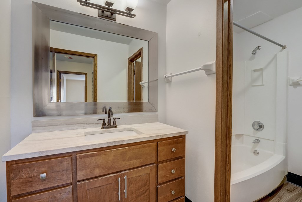 a bathroom with a sink and a bathtub