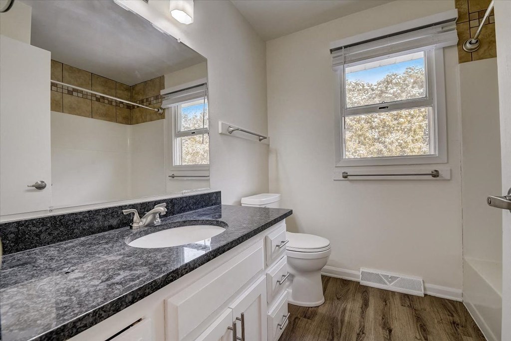 a bathroom with a sink and a toilet and a window