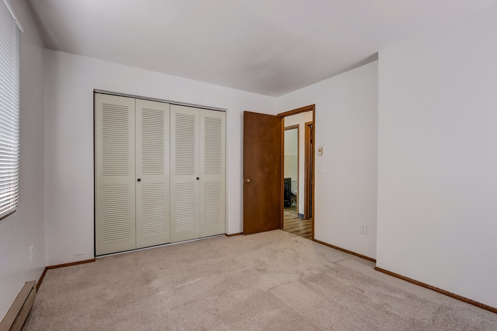 a bedroom with two closets and a carpeted floor