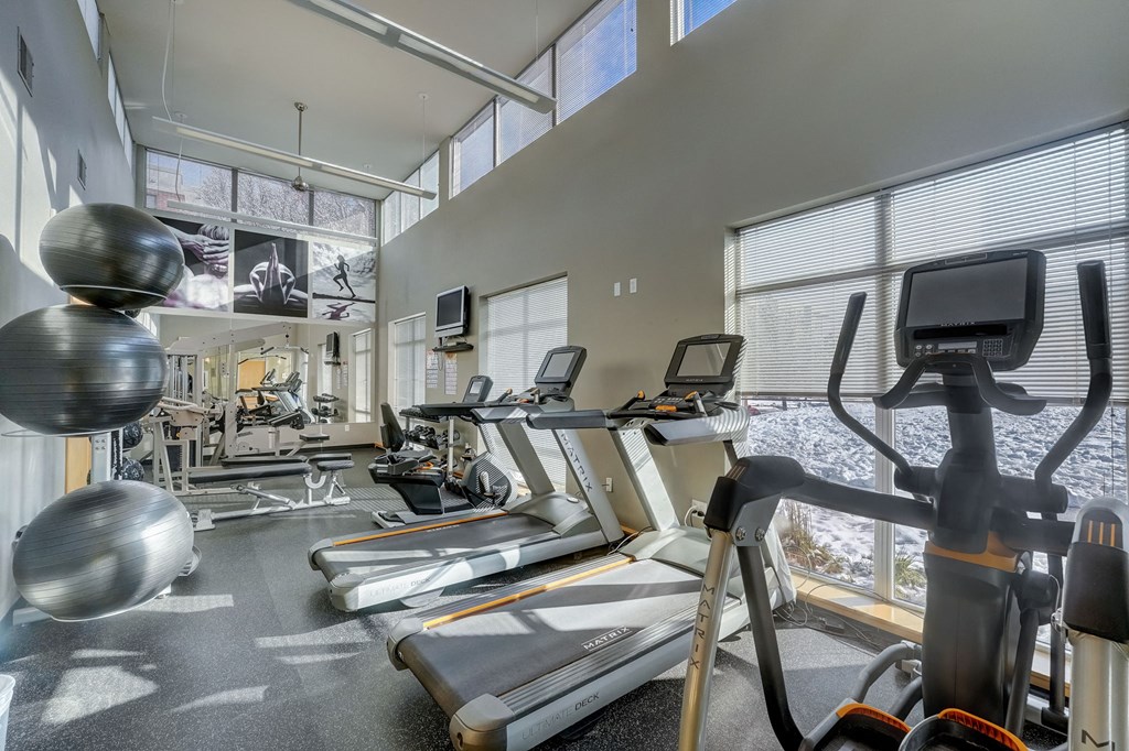 the gym has cardio equipment and weights at the belgard apartments