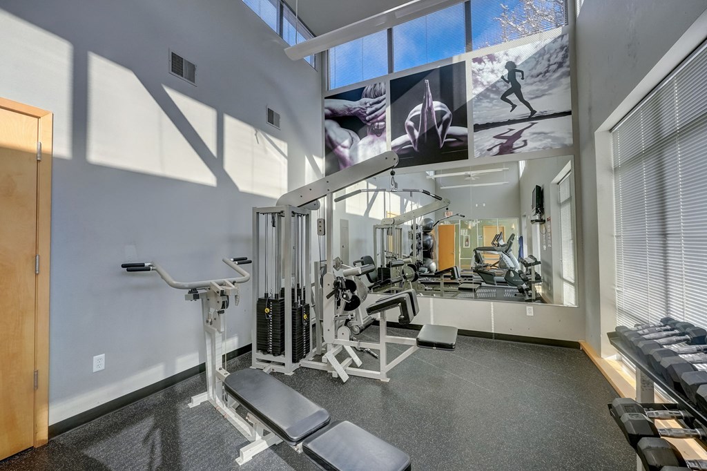 the gym is equipped with weights and cardio equipment