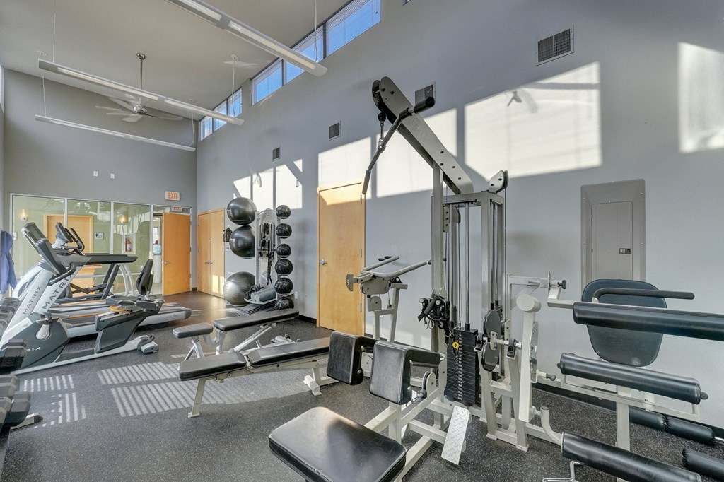a gym with weights and equipment at the renaissance at port royal apartments