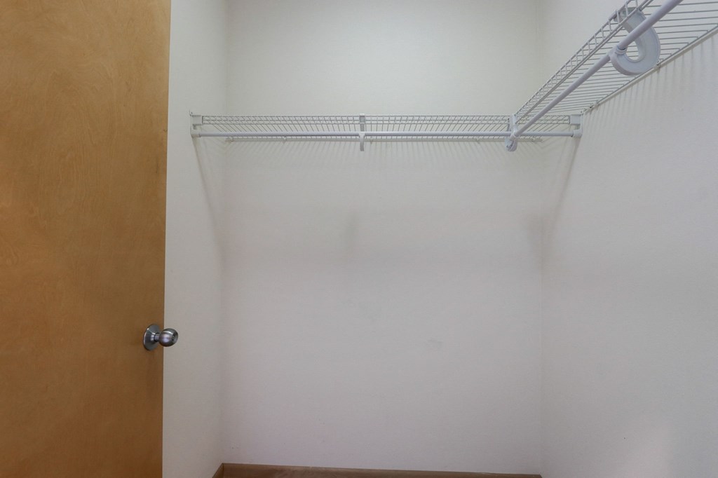 a walk in shower in a white room with a wooden door