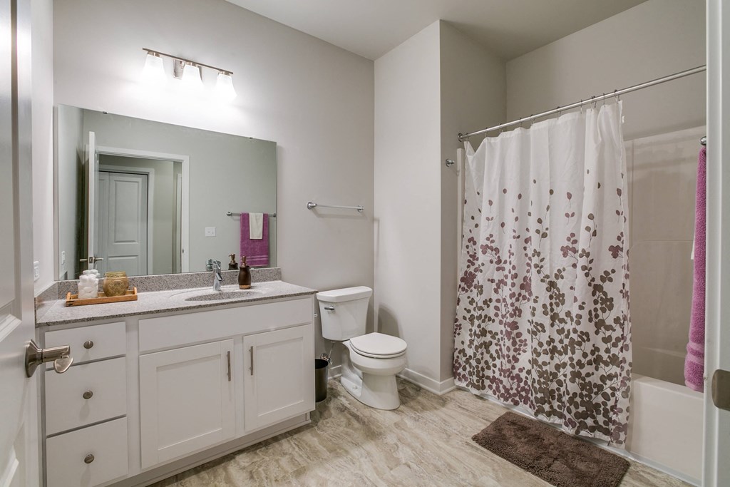 a bathroom with a shower toilet and sink and a mirror