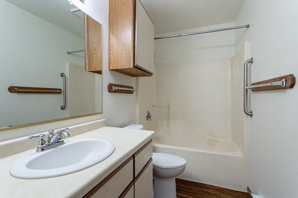 a bathroom with a sink and a toilet and a shower