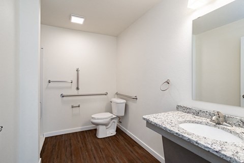 a bathroom with a toilet and a sink and a mirror