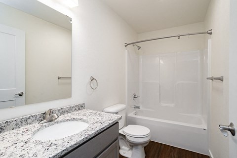 a bathroom with a sink and a toilet