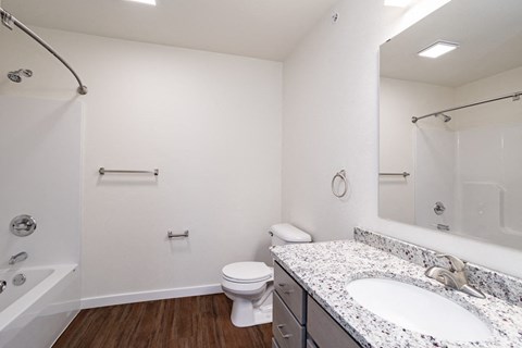 a bathroom with a sink and a toilet and a shower