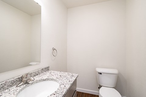 a bathroom with a sink and a toilet and a mirror