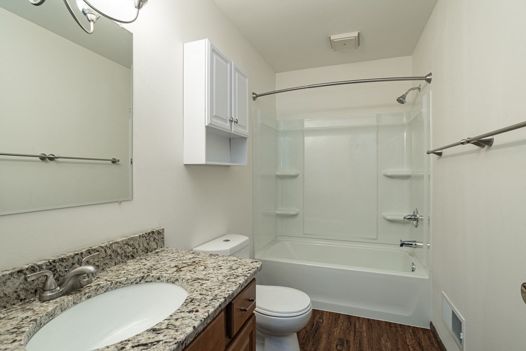 a bathroom with a sink and a shower and a toilet