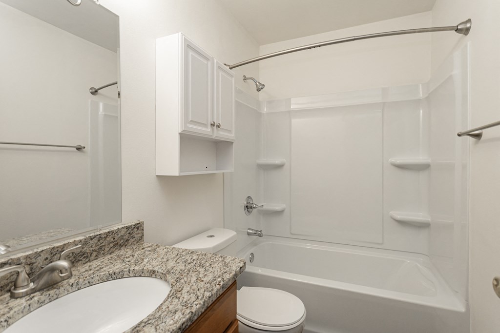 a bathroom with a sink and a toilet and a bath tub