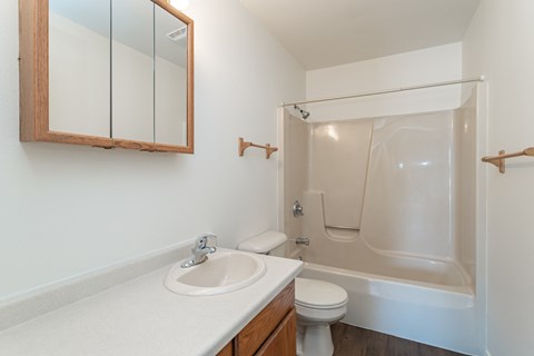 a bathroom with a shower sink and toilet and a mirror