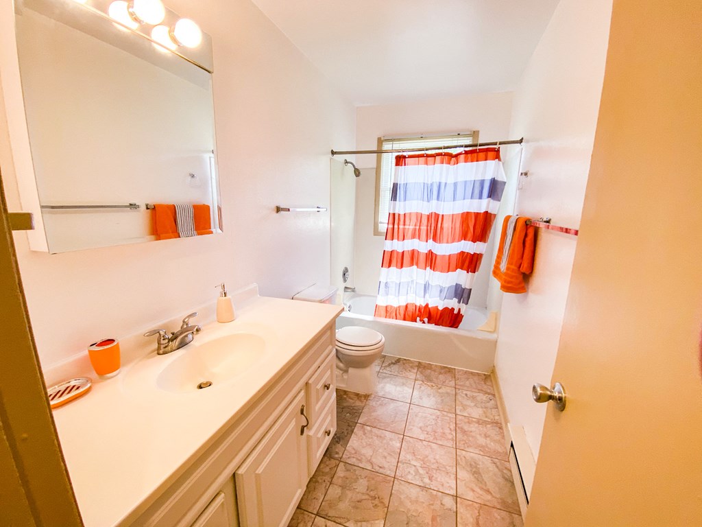 a bathroom with a sink and a toilet and a shower