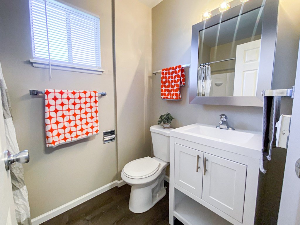 a bathroom with a sink toilet and a mirror