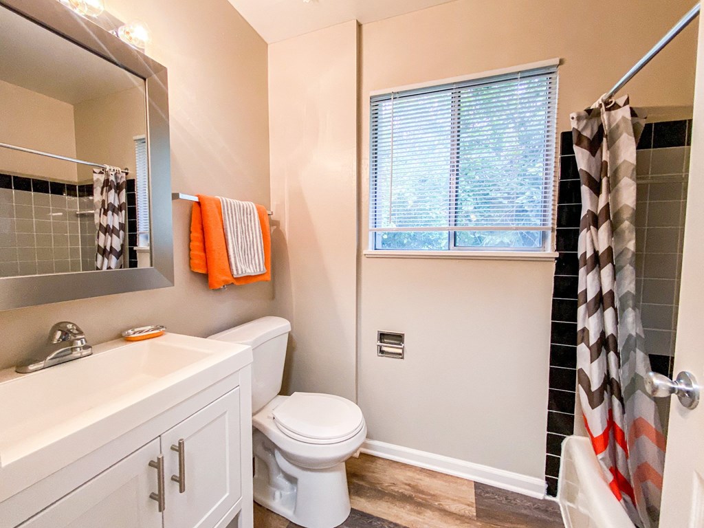 a bathroom with a shower toilet and a sink