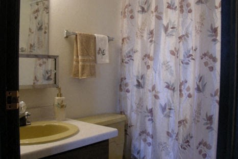 a bathroom with a sink and a shower curtain