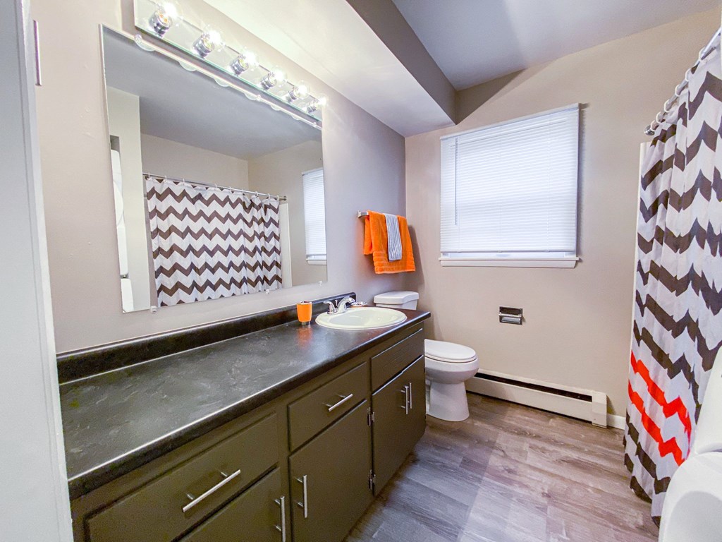 a bathroom with a mirror and a sink and a toilet