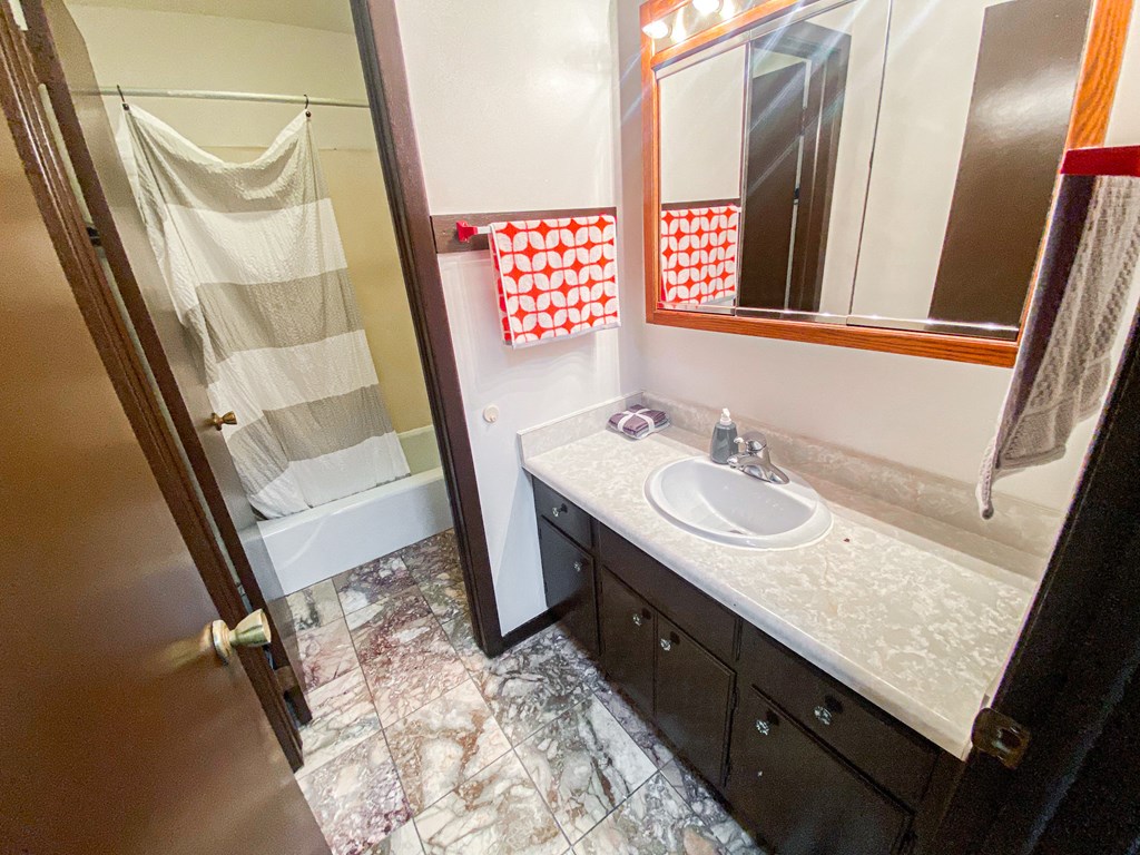 a bathroom with a sink and a shower and a mirror