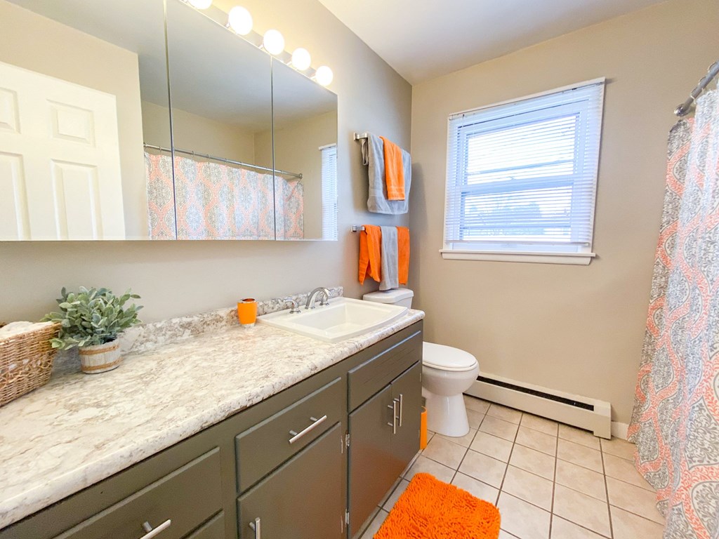 a bathroom with a sink and a toilet