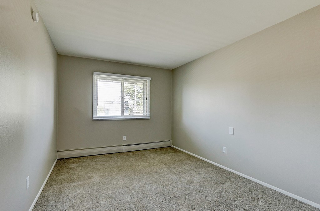 an empty room with carpet and a window