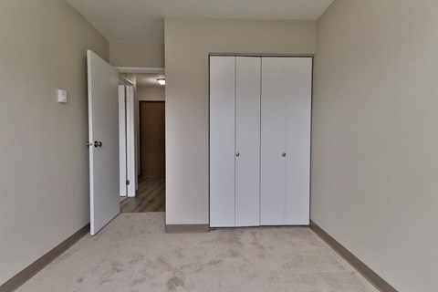 a bedroom with two closets and a carpeted floor