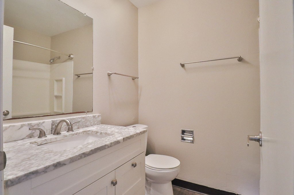 a bathroom with a sink and a toilet and a mirror