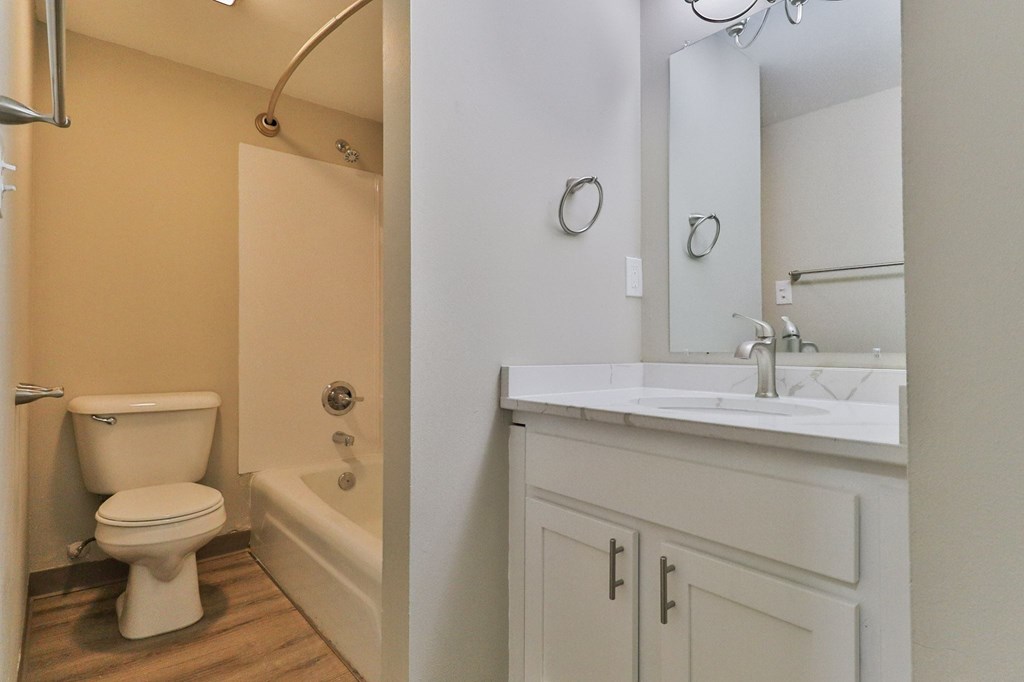 a bathroom with a toilet and a sink and a mirror