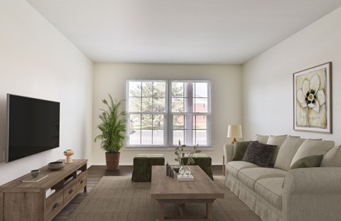 A living room with a couch, a coffee table, a television, and a potted plant.