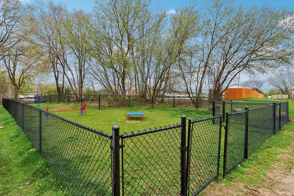 a fenced in dog park with a dog
