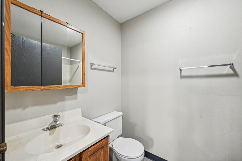 a bathroom with a sink and toilet and a mirror