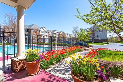the preserve at ballantyne commons community pool and flowers