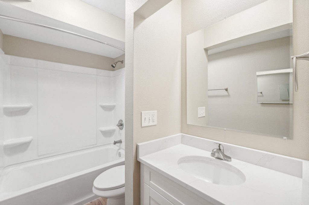 a bathroom with a sink and a toilet and a mirror