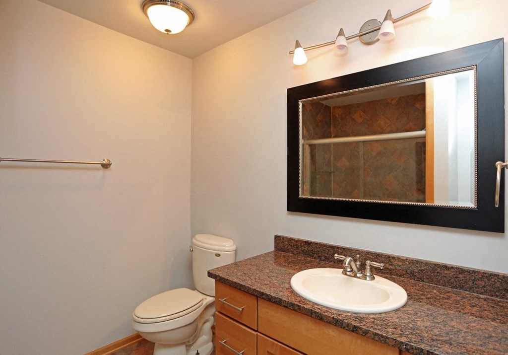 a bathroom with a sink and a toilet and a mirror