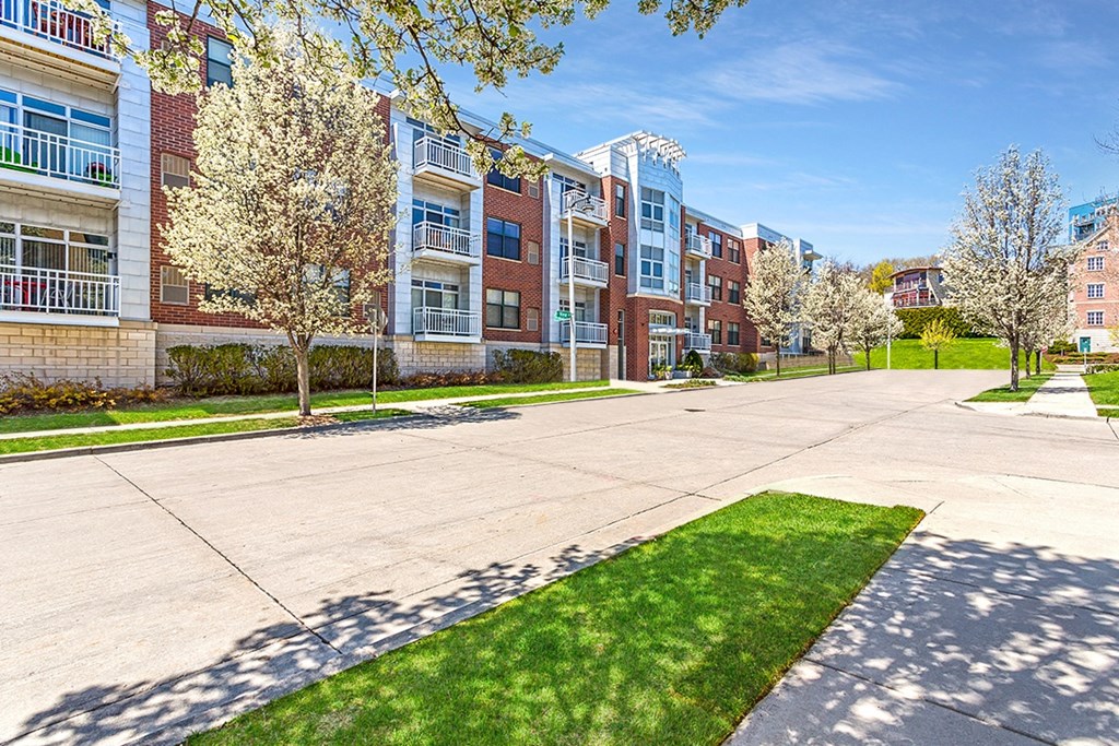 our apartments offer a spacious courtyard with green grass and trees