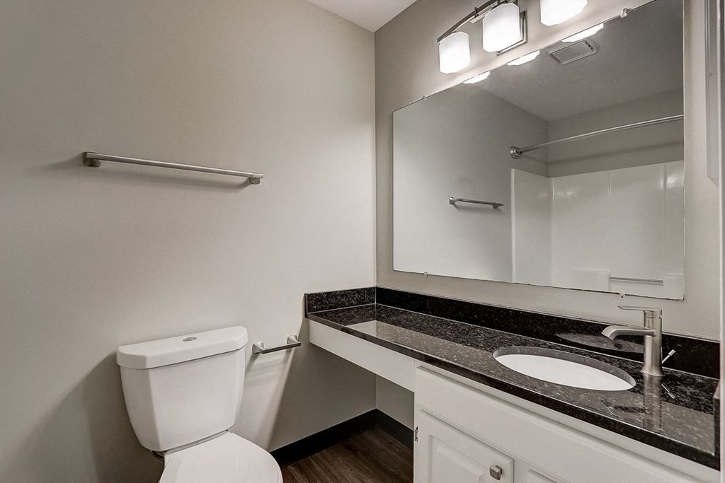 a bathroom with a toilet and a sink and a mirror