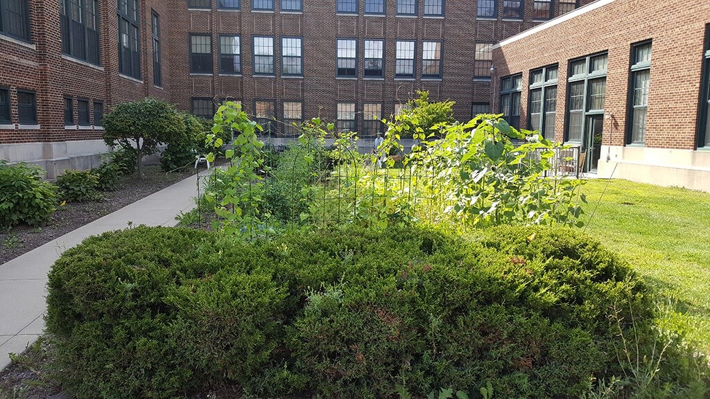 Plenty of Green Space