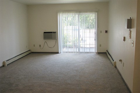 A room with a carpet floor, a window with blinds, and a sliding glass door.