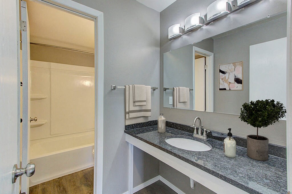 a bathroom with a sink and a mirror
