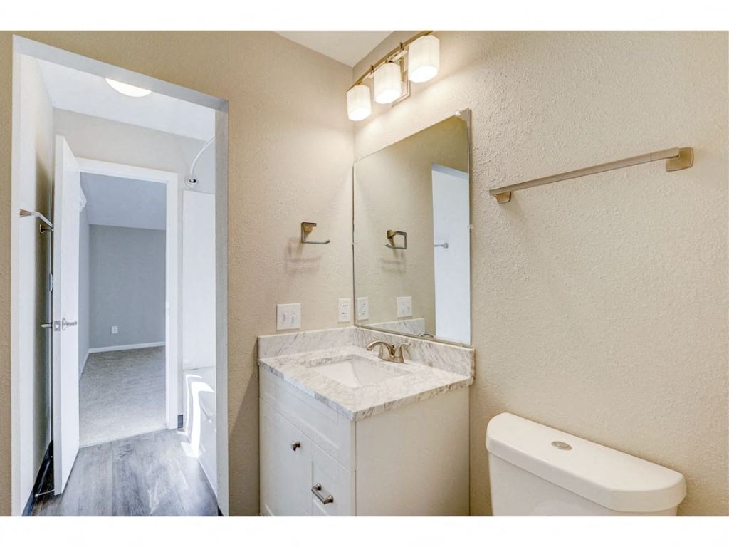 a bathroom with a mirror and a toilet and a sink
